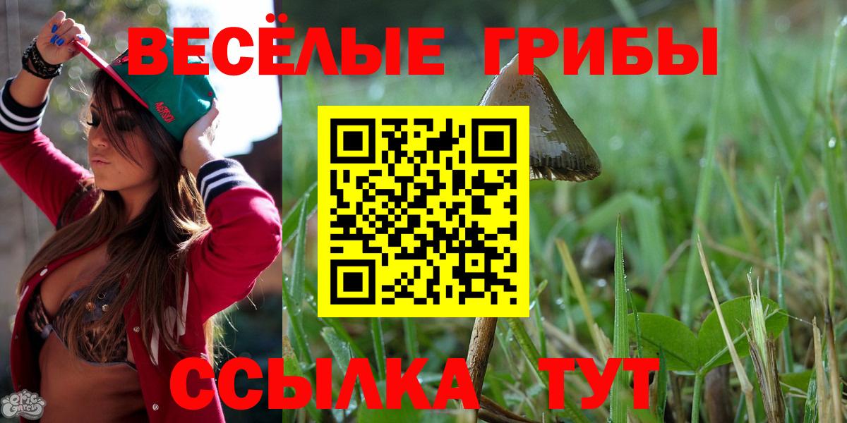 Псилоцибиновые грибы мицелий  Вход с VPN  Всеволожск 